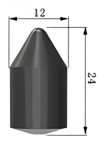 Carbide insert 12x24