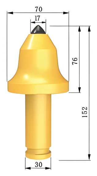 HQ307017AS