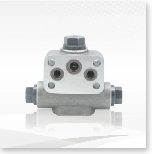 Flushing valve A2FM45-250