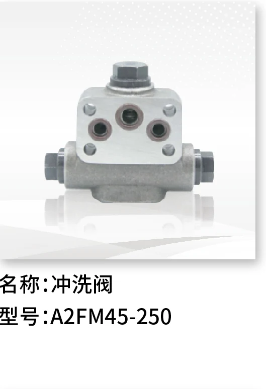 冲洗阀 A2FM45-250