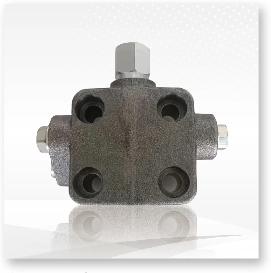 Flushing valve A6VM55/80/107/160/200